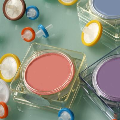 ��^ʽ�^�V��